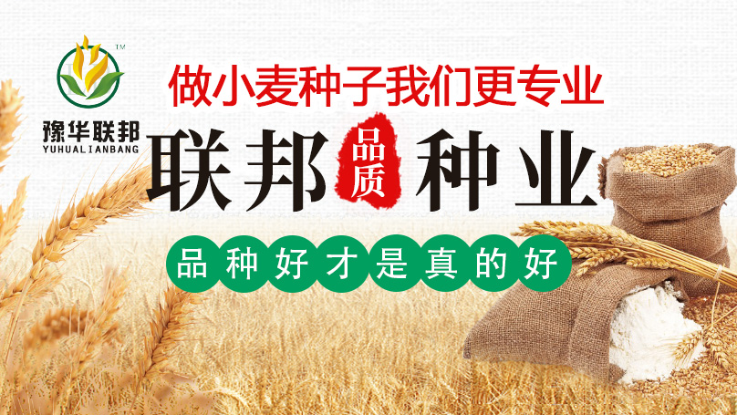 河南联邦种业有限公司