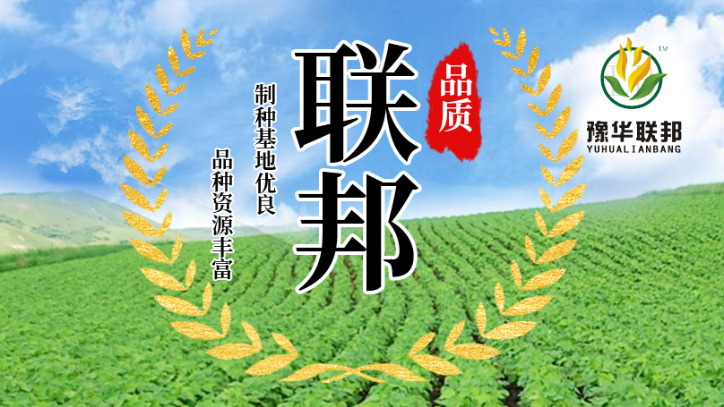 河南联邦种业有限公司
