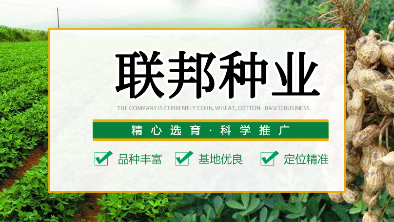 河南联邦种业有限公司
